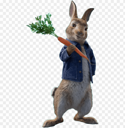 eter rabbit - peter rabbit movie PNG without watermark free