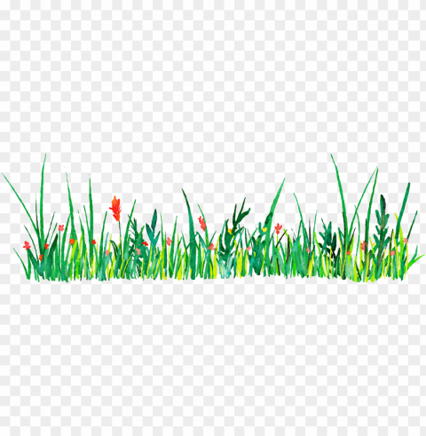 euclidean vector icon - grass watercolor Isolated Object with Transparency in PNG