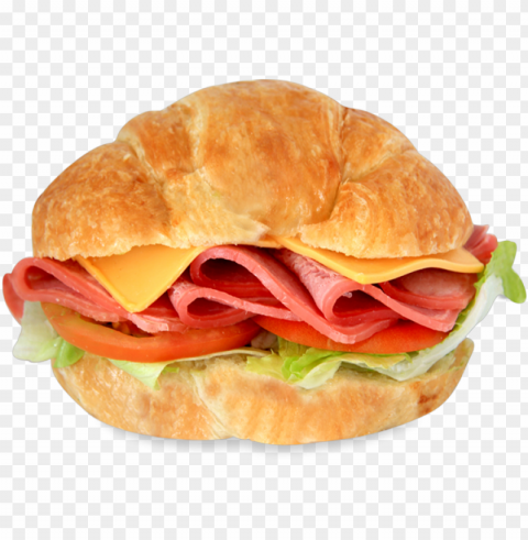 European Sandwich - Fast Food PNG Photo With Transparency