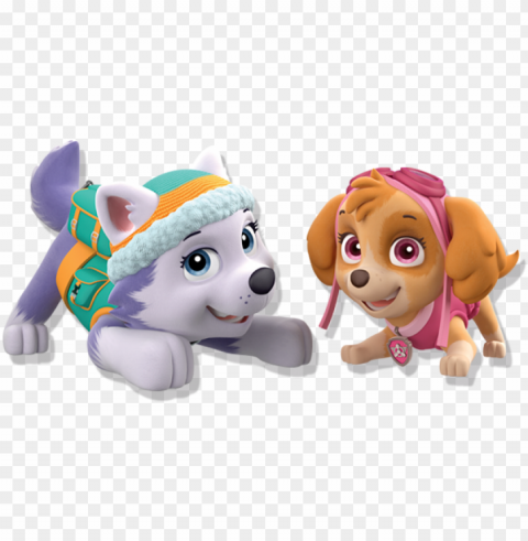 everest & skye - paw patrol giant coloring and activity book Isolated Item on HighResolution Transparent PNG