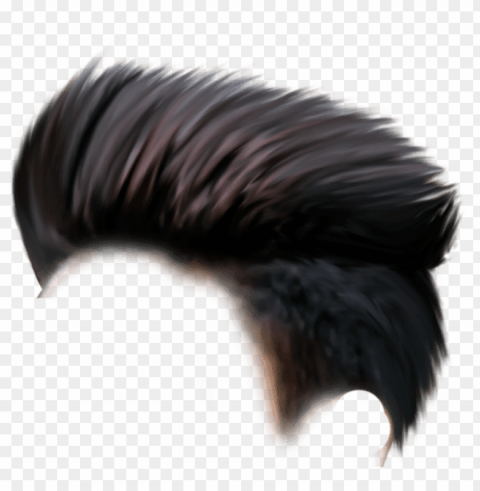 ew cb hair for picsart and photoshop latest collection - boys hair style Transparent PNG Isolated Graphic Design
