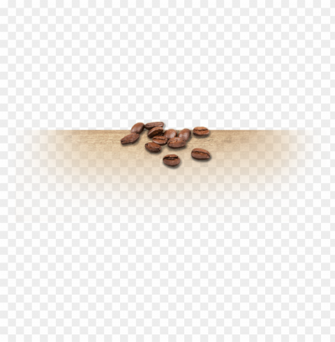 ew england coffee beans - coffee footer PNG images with clear backgrounds
