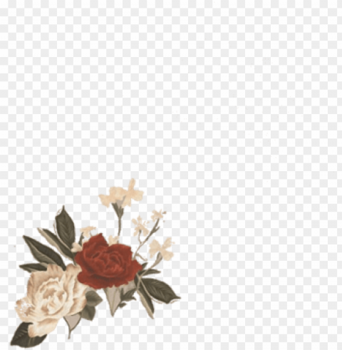 Ew Shawn Mendes Era - Shawn Mendes Sm3 Flowers Transparent Background PNG Clipart