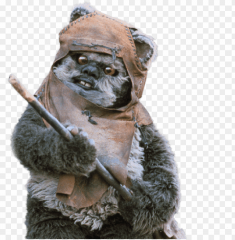 ewok - ewok star wars Transparent PNG images for printing