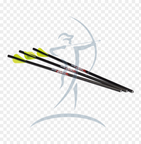 excalibur quill - excalibur crossbow quill 165 carbon arrows 6 pack PNG images with cutout