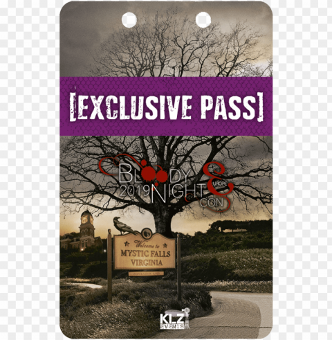 exclusive pass 420 - vampire diaries mystic falls Free PNG download no background