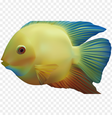 exotic fish clipart best web clipart - fish High-quality PNG images with transparency