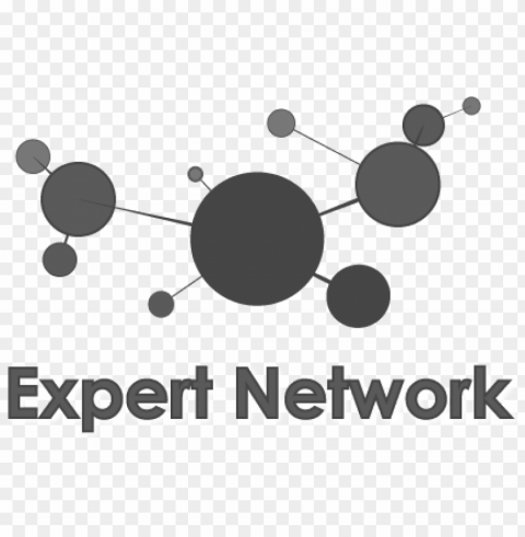 expert network icon - experts icons Isolated Object on Transparent Background in PNG