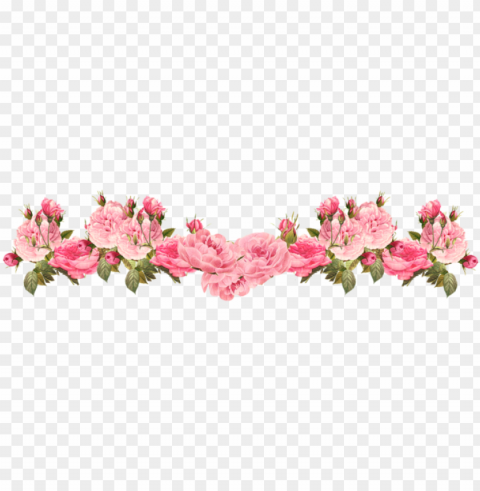 ext - vintage flower border Transparent PNG Illustration with Isolation