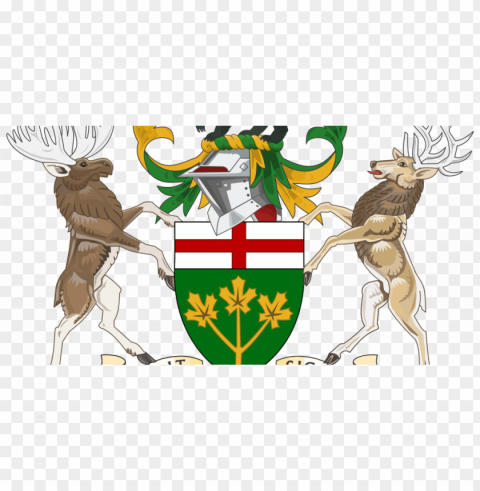 ey canada will review ontario's books - coat of arms PNG for mobile apps