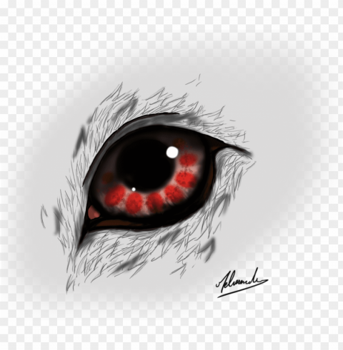 eye blood wolf by the - painti Isolated Icon in HighQuality Transparent PNG