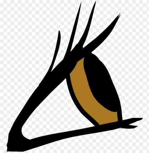 Eye From Side PNG Transparent Graphics For Projects