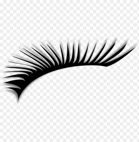 Eye Lashes Isolated Object On Clear Background PNG