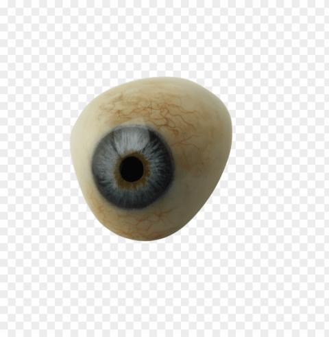 eye Isolated Subject in HighQuality Transparent PNG