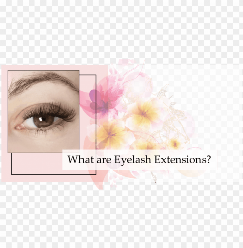 eyelash extensions Isolated Artwork on Clear Transparent PNG
