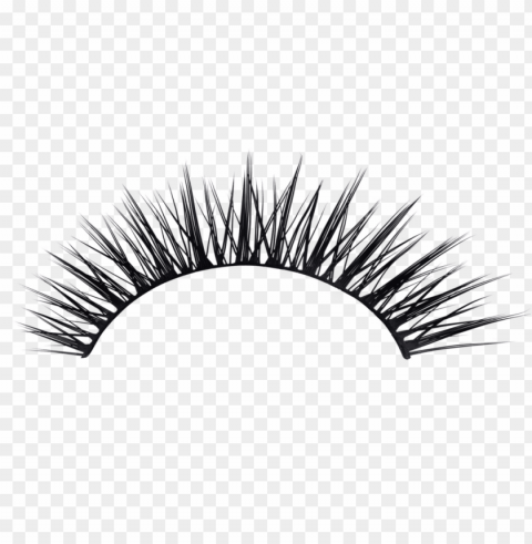 eyelash Isolated Icon with Clear Background PNG