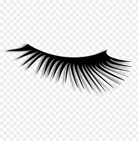 eyelash Isolated Illustration with Clear Background PNG
