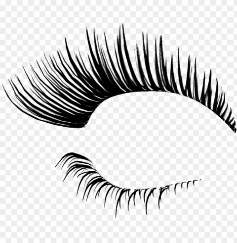 eyelash Isolated Item in HighQuality Transparent PNG