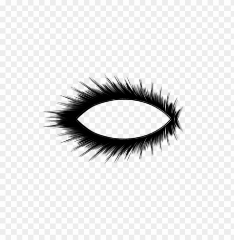 eyelash Isolated Item on Clear Transparent PNG