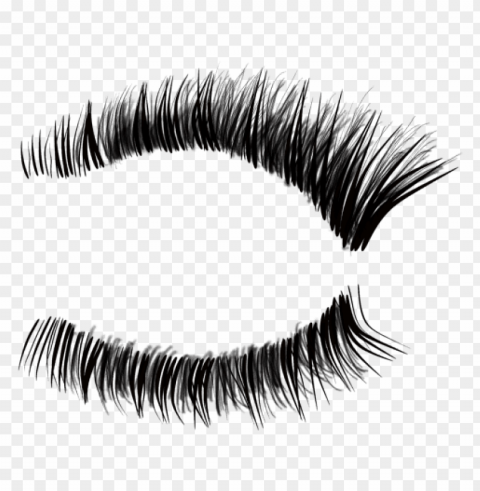 eyelash Isolated Item with HighResolution Transparent PNG