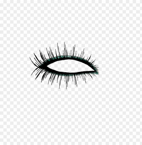 eyelash Isolated Object in HighQuality Transparent PNG