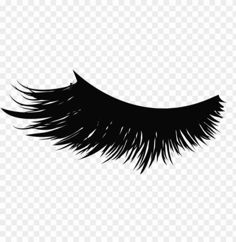 eyelash Isolated Object with Transparent Background in PNG