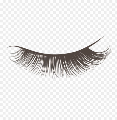 eyelash Isolated PNG Object with Clear Background