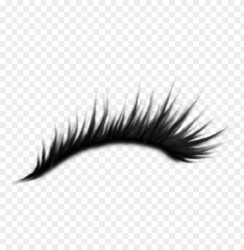 eyelash Isolated Subject in Transparent PNG