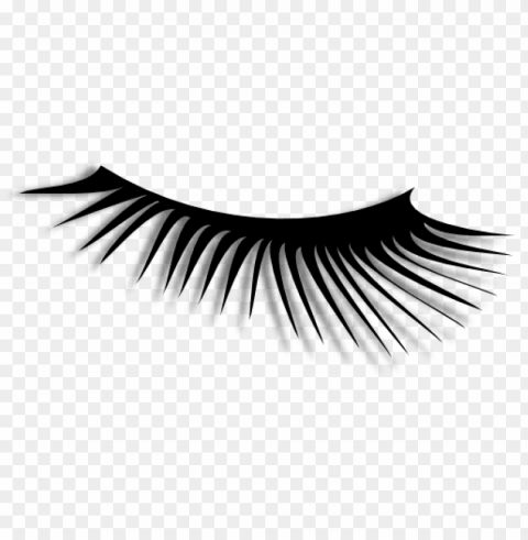 eyelash PNG file with no watermark