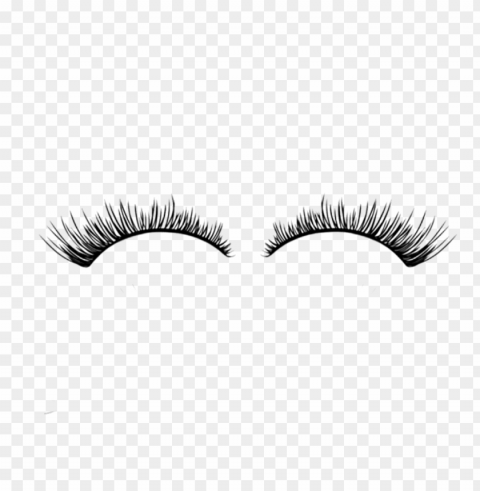 eyelashes 1 PNG Isolated Illustration with Clear Background