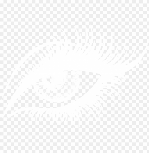 eyelashes - eyelash HighResolution PNG Isolated on Transparent Background