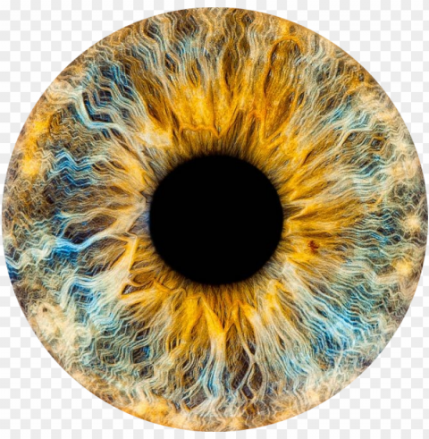 Eyes Iris Reference Transparent Background Isolated PNG Design