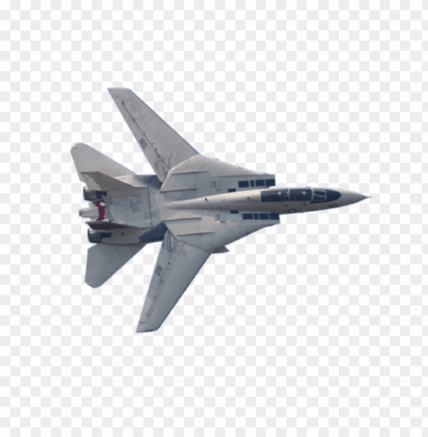 f-14 - f 35 tomcat PNG transparency images