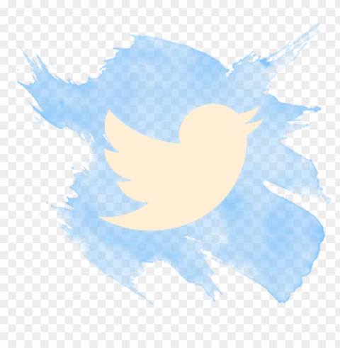 facebook - pinterest - instagram - twitter - google - transparent twitter logo Clear Background PNG Isolated Graphic