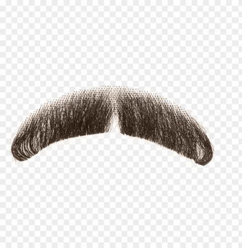 Fake Moustache Background - Real Mustache Beard Alpha Channel Transparent PNG