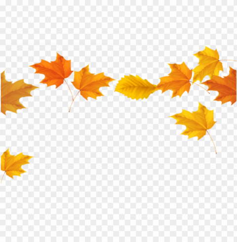 fall border clipart fall leaves border clipartfall - clip art free autumn leaves Isolated Item on Clear Background PNG