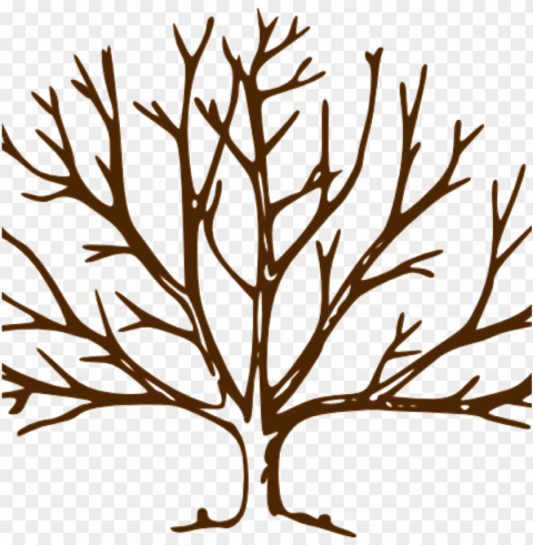 fall clipart bare fall tree - draw a tree with snow Transparent PNG Isolated Graphic with Clarity