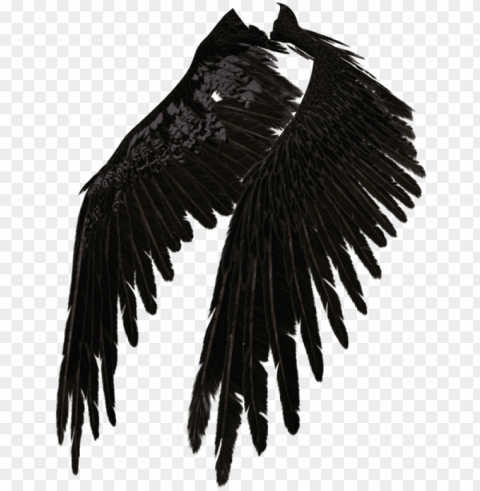 fallen angel wing - dark angel wings HighQuality Transparent PNG Isolated Graphic Element