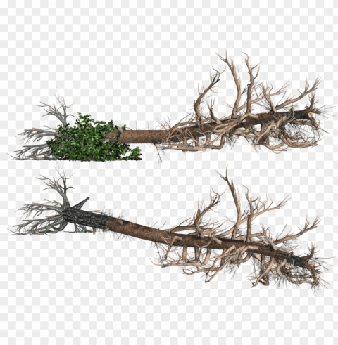 fallen trees 02 stock by roy3d on deviantart stock - fallen tree clipart PNG with Isolated Object and Transparency