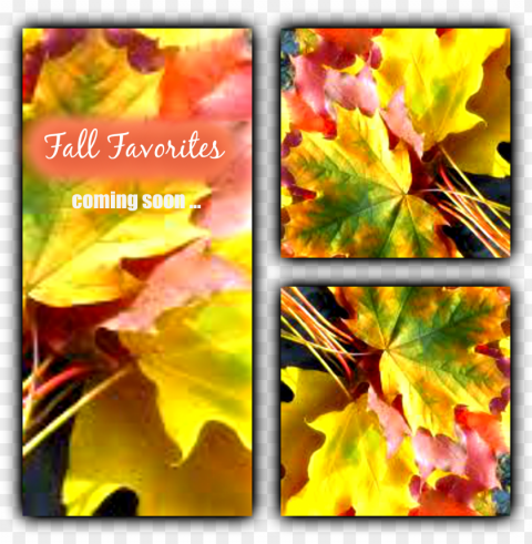 fallfavorites - fall leaves Transparent design PNG PNG transparent with Clear Background ID e74aa5ca