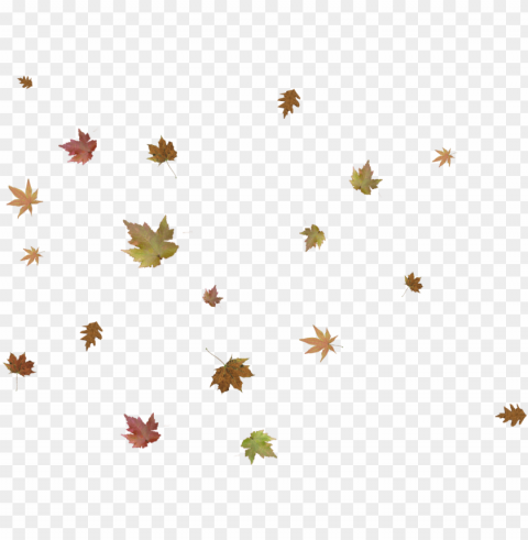 falling autumn leaves pic - crossroads church PNG files with clear background variety
