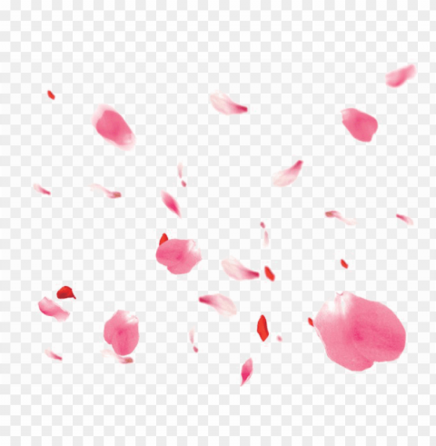 falling petals transparent image - portable network graphics PNG clear background