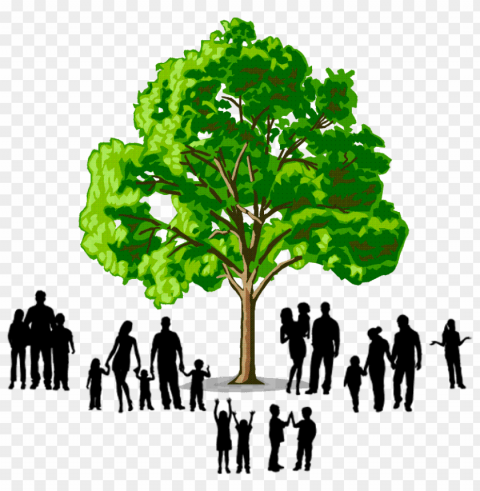 family tree logo Isolated Subject in Clear Transparent PNG