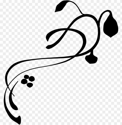 fancy line PNG no background free