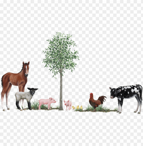 farm animals collection wall decals stickers - 3d wall stickers farm animals Isolated Element with Clear PNG Background