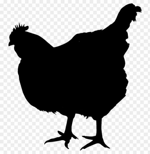 farm chicken - chicken silhouette with Transparent Background PNG Isolated Illustration