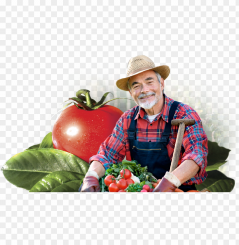 farmer Free download PNG images with alpha channel diversity