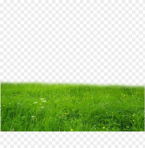 farmland ClearCut Background Isolated PNG Design