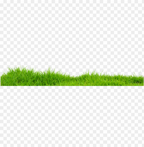 farmland ClearCut Background Isolated PNG Graphic Element