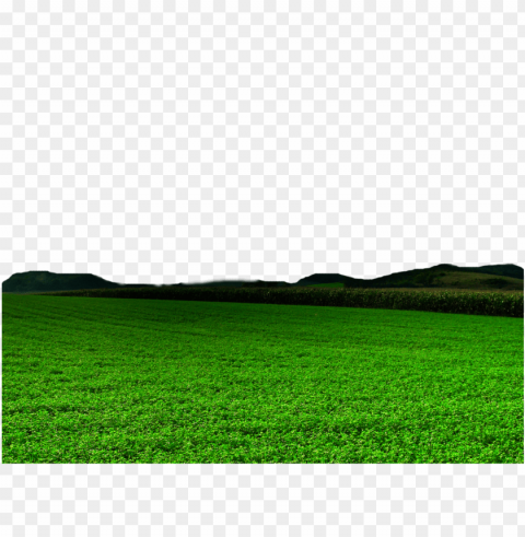 farmland ClearCut Background PNG Isolated Item